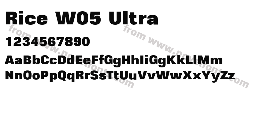 Rice W05 UltraPreview
