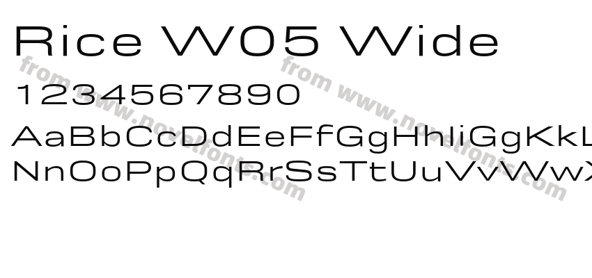 Rice W05 WidePreview