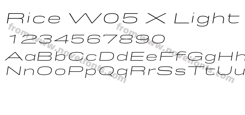 Rice W05 X Light Expanded OblPreview
