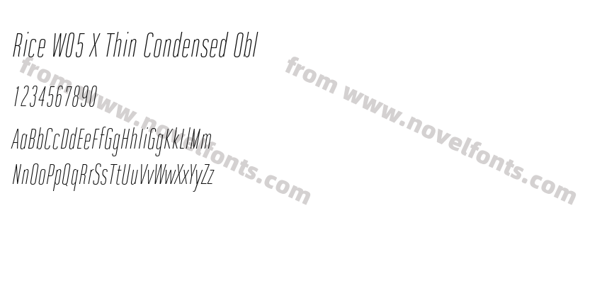 Rice W05 X Thin Condensed OblPreview