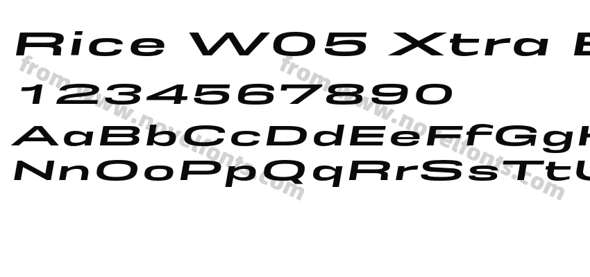 Rice W05 Xtra Bold Expanded OblPreview