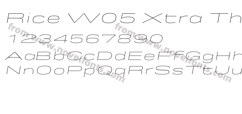 Rice W05 Xtra Thin Expanded OblPreview