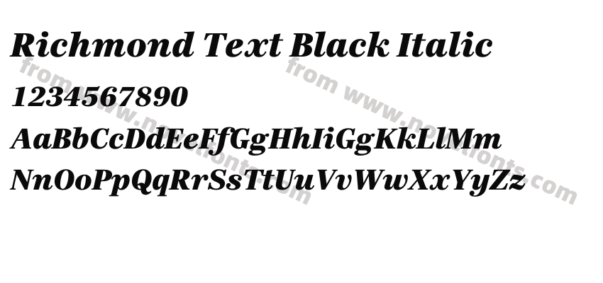 Richmond Text Black ItalicPreview