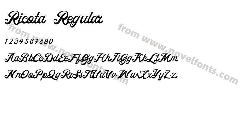 Ricota RegularPreview