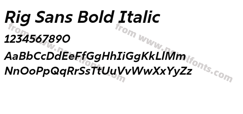 Rig Sans Bold ItalicPreview