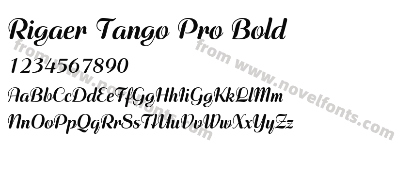 Rigaer Tango Pro BoldPreview