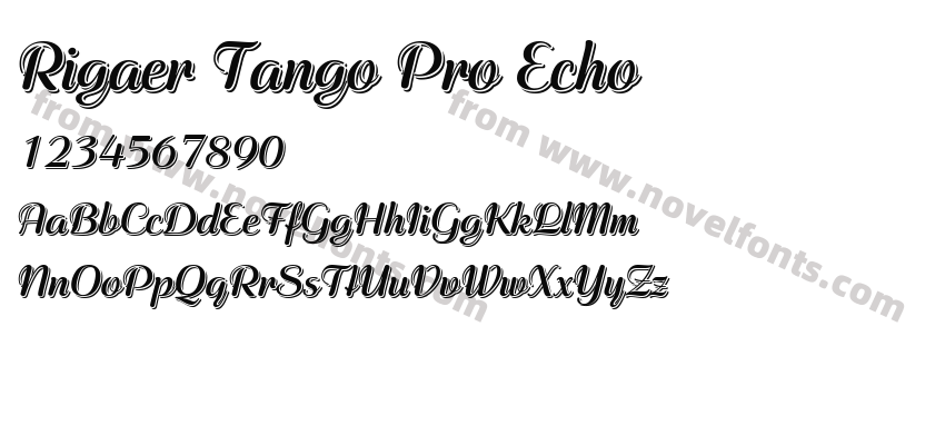 Rigaer Tango Pro EchoPreview