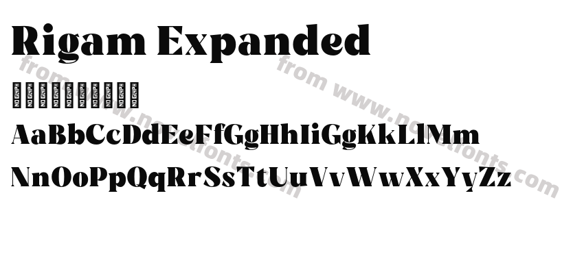 Rigam ExpandedPreview