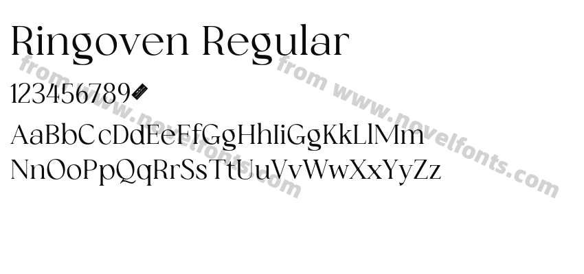 Ringoven RegularPreview