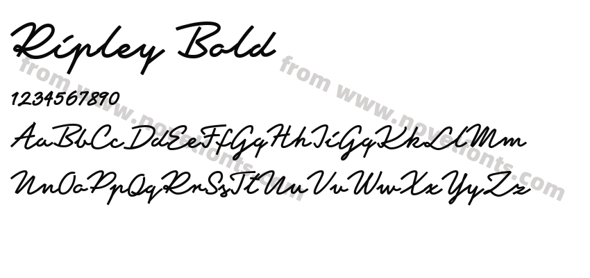 Ripley BoldPreview