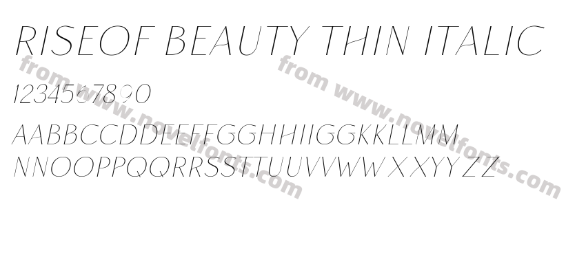 Riseof Beauty Thin ItalicPreview