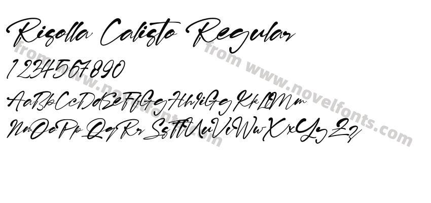 Risolla Calisto RegularPreview