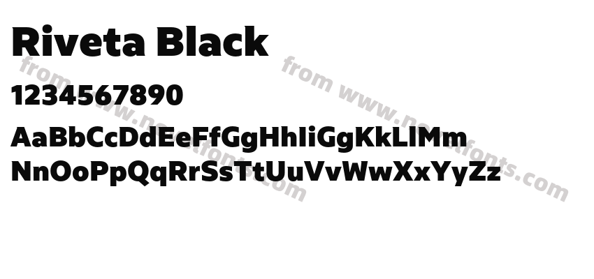Riveta BlackPreview