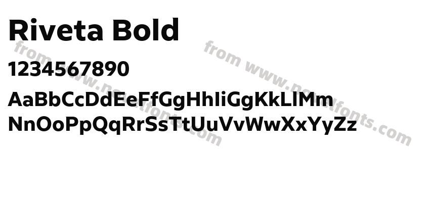 Riveta BoldPreview