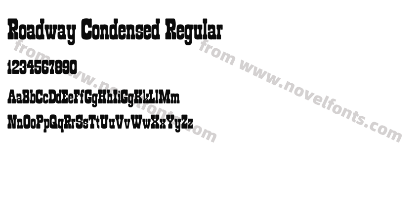 Roadway Condensed RegularPreview