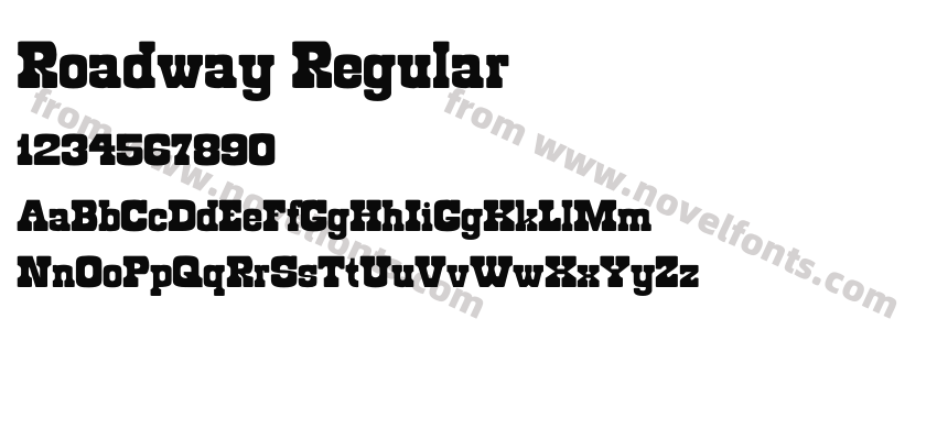 Roadway RegularPreview