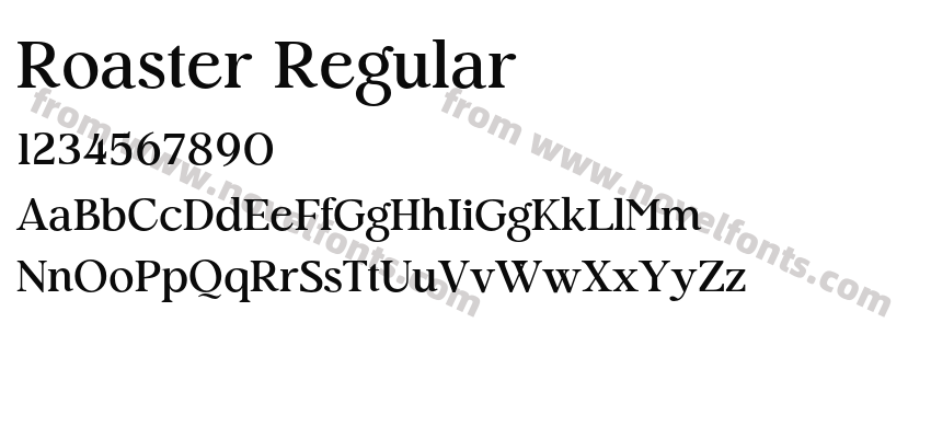 Roaster RegularPreview