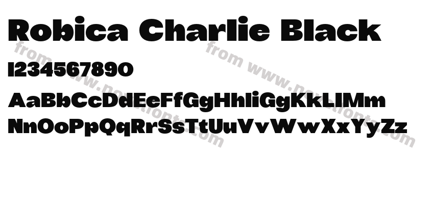 Robica Charlie BlackPreview