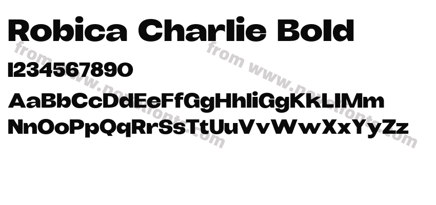 Robica Charlie BoldPreview
