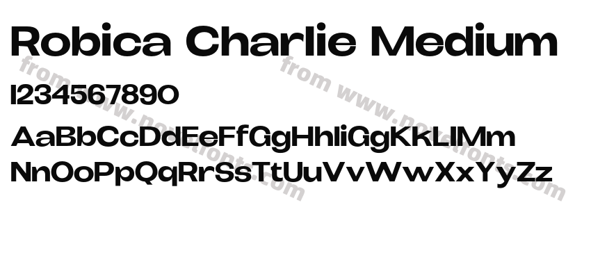 Robica Charlie MediumPreview