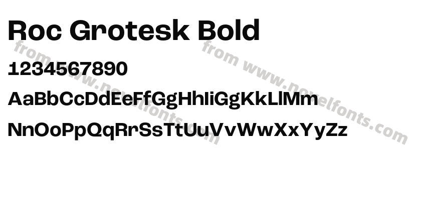 Roc Grotesk BoldPreview