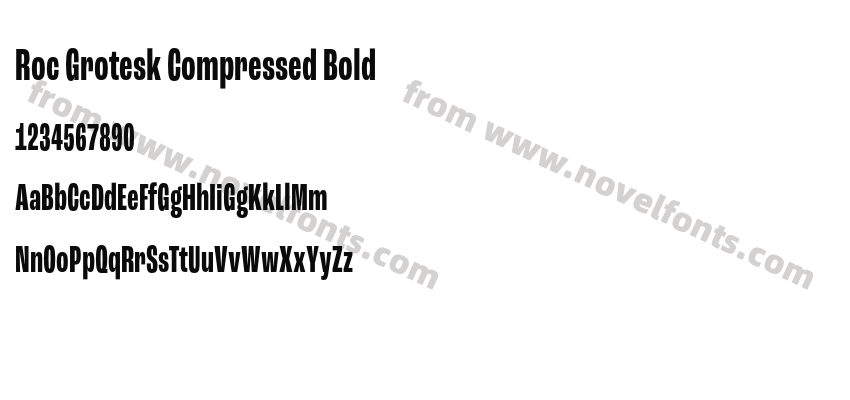 Roc Grotesk Compressed BoldPreview