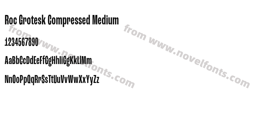 Roc Grotesk Compressed MediumPreview