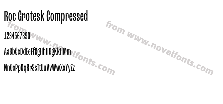 Roc Grotesk CompressedPreview