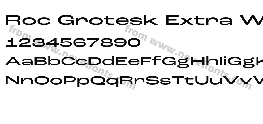 Roc Grotesk Extra Wide MediumPreview