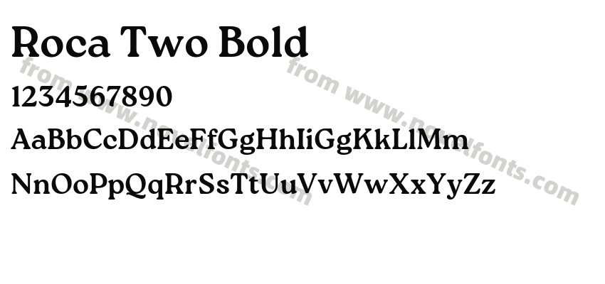 Roca Two BoldPreview