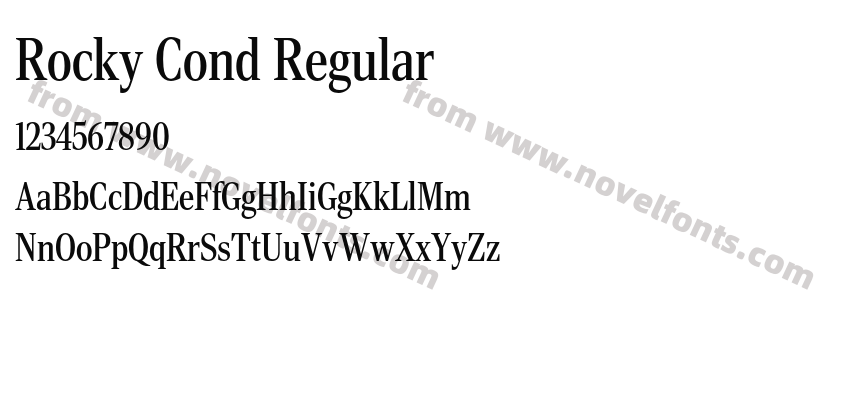 Rocky Cond RegularPreview