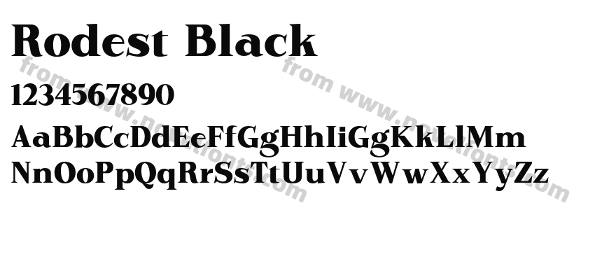 Rodest BlackPreview