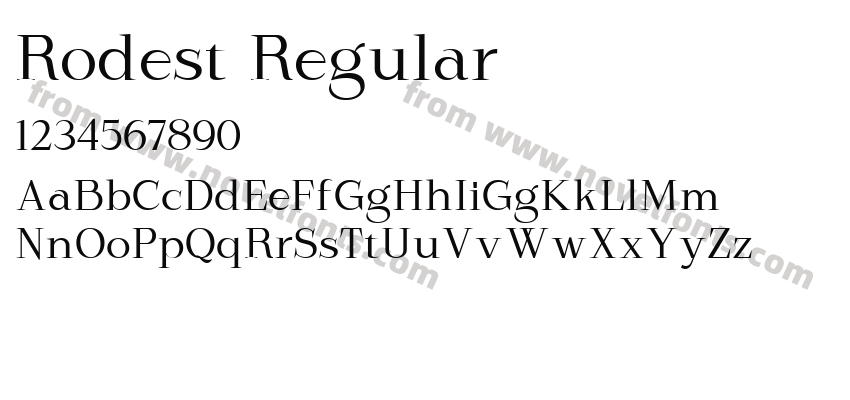 Rodest RegularPreview