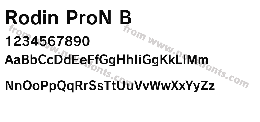 Rodin ProN BPreview