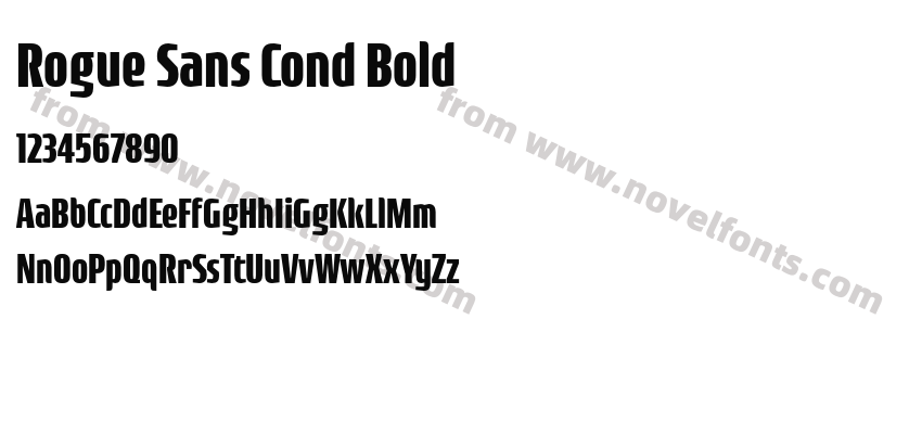 Rogue Sans Cond BoldPreview