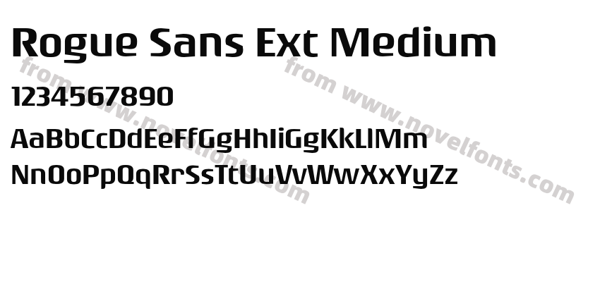 Rogue Sans Ext MediumPreview