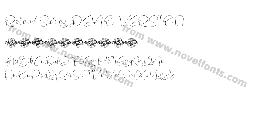 Roland Sidney DEMO VERSIONPreview