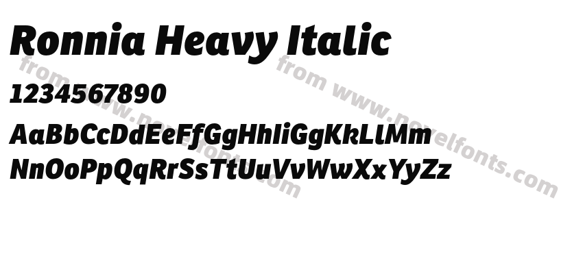 Ronnia Heavy ItalicPreview