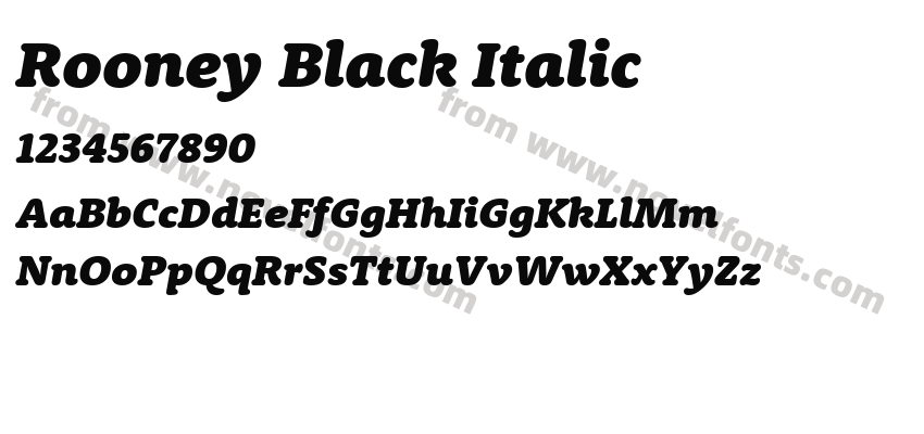 Rooney Black ItalicPreview