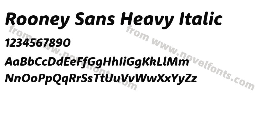 Rooney Sans Heavy ItalicPreview