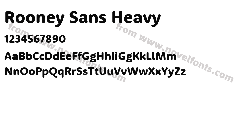 Rooney Sans HeavyPreview