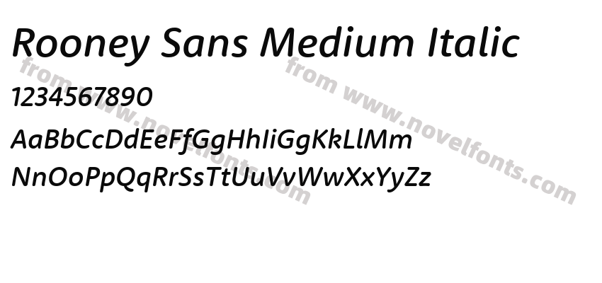 Rooney Sans Medium ItalicPreview