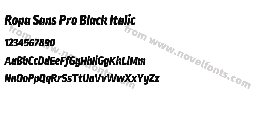 Ropa Sans Pro Black ItalicPreview