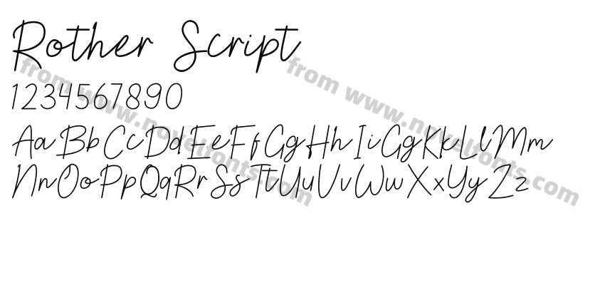 Rother ScriptPreview