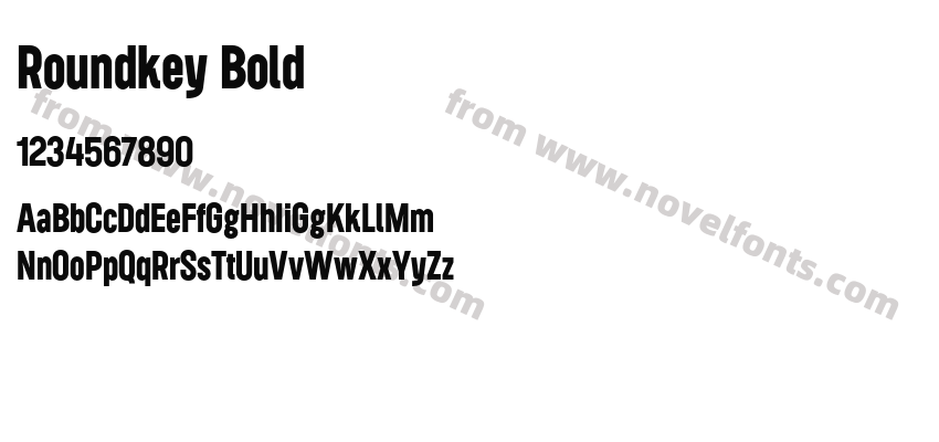 Roundkey BoldPreview