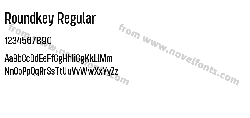 Roundkey RegularPreview