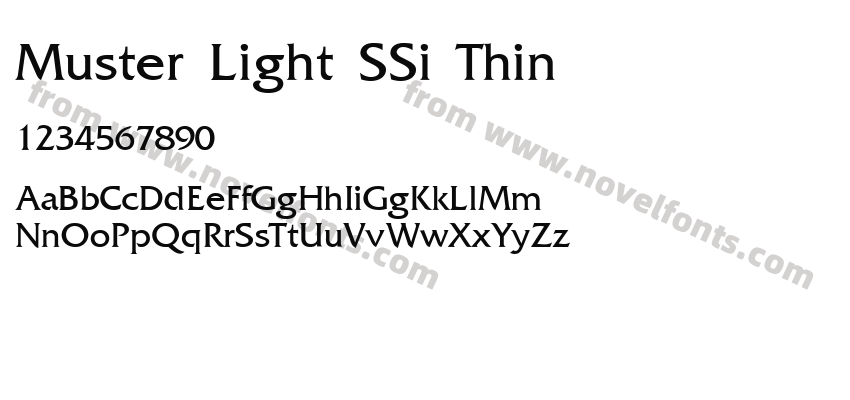 Muster Light SSi ThinPreview