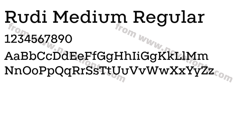 Rudi Medium RegularPreview