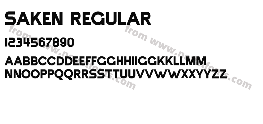 SAKEN RegularPreview
