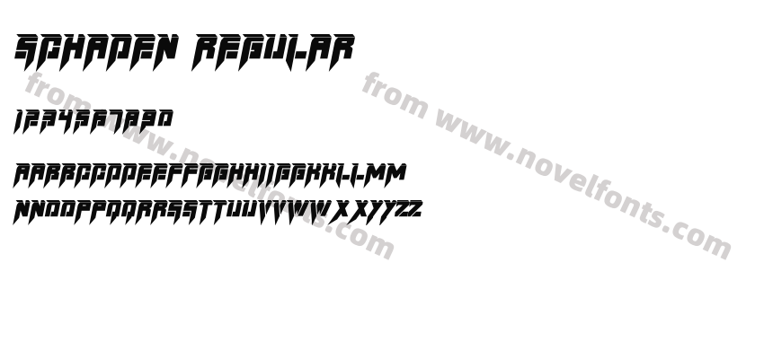SCHADEN RegularPreview